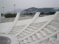 skate photo