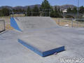 skate photo