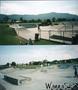 skate photo