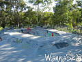 skate photo