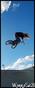 skate photo