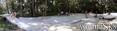 skate photo