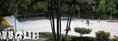 foto de skate