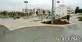 skate photo