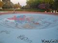 photo de skate