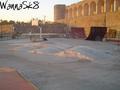 photo de skate