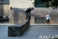 foto de skate
