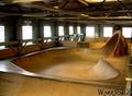 skate photo