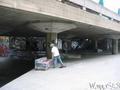 photo de skate