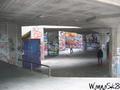 photo de skate