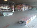 photo de skate