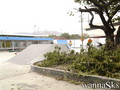 skate photo