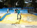 skate photo